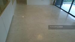 The Trizon (D10), Condominium #130640582